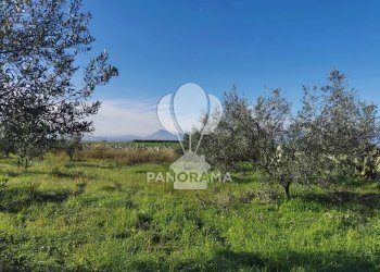 Terreno edificabile Partinico - foto 8