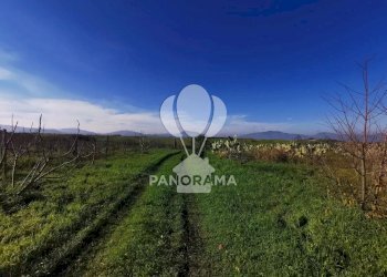 Terreno edificabile Partinico - foto 10