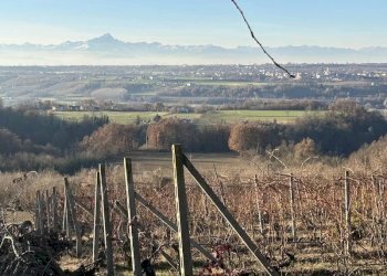 Casale Clavesana - photo 20