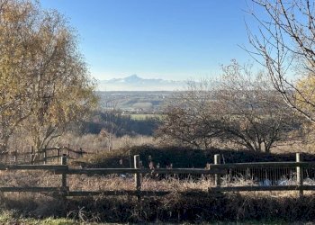 Casale Clavesana - photo 28