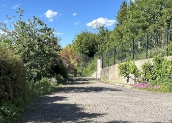 Casale Clavesana - foto 20