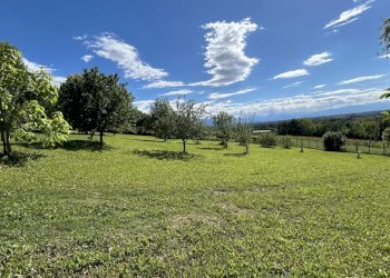Casale Clavesana - foto 30