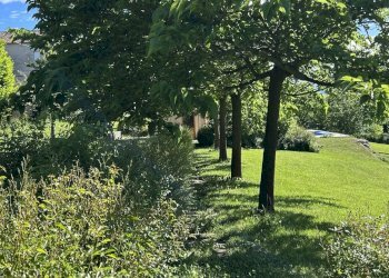 Casale Clavesana - foto 33