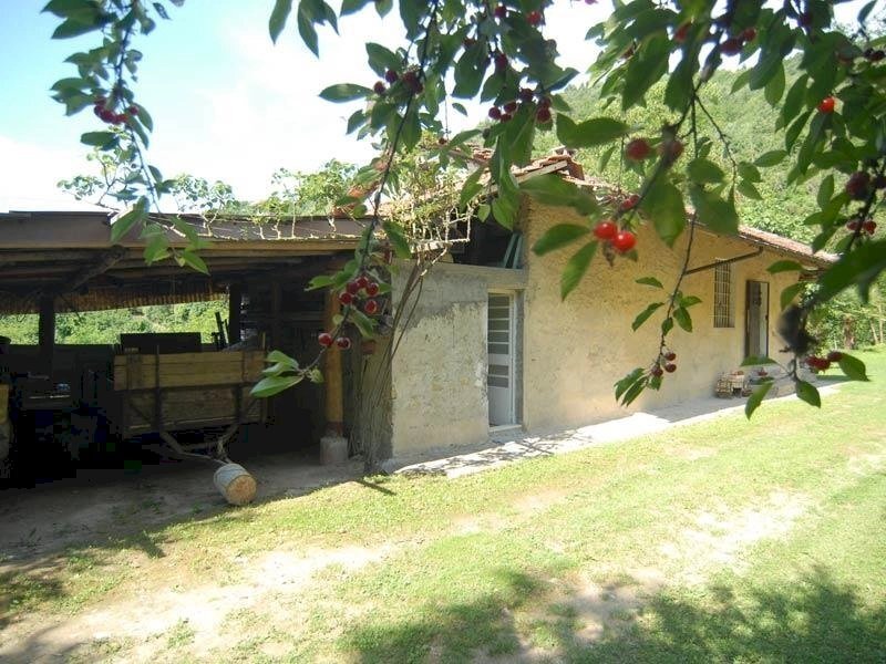 Casale Bosia - foto 1