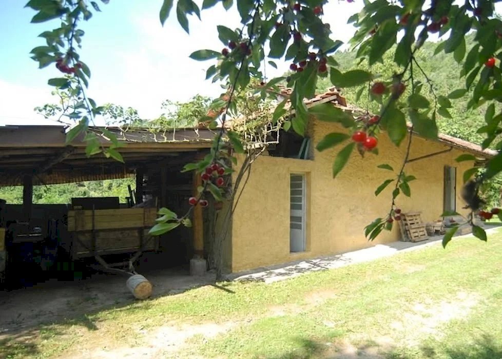 Casale Bosia - photo 1