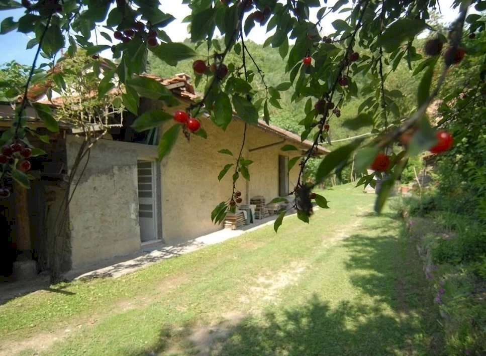 Casale Bosia - photo 2