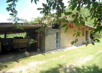 Casale Bosia - photo 1