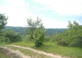 Casale Bosia - photo 6