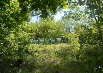 Casale Bosia - photo 13