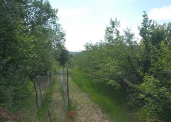 Casale Bosia - photo 14