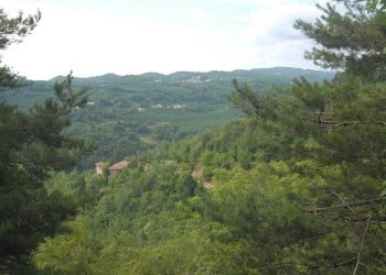 Casale Bosia - photo 16