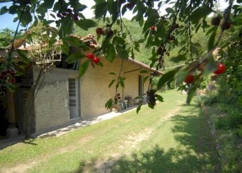 Casale Bosia - photo 2