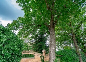 Villa via Larghe, Granarolo dell'Emilia - foto 15