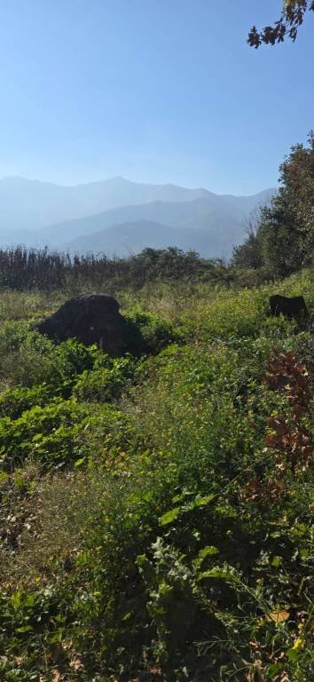 Terreno agricolo via Emilio Coppola, Mercato San Severino - foto 1