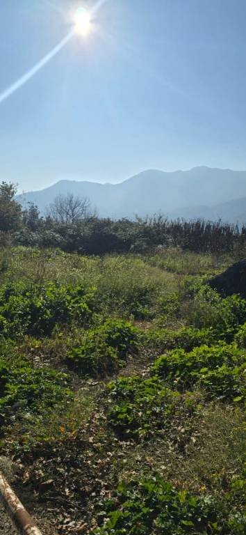 Terreno agricolo via Emilio Coppola, Mercato San Severino - foto 2