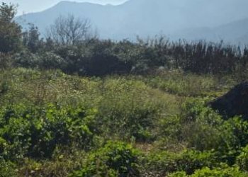 Terreno agricolo via Emilio Coppola, Mercato San Severino - foto 2