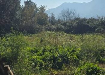 Terreno agricolo via Emilio Coppola, Mercato San Severino - foto 3