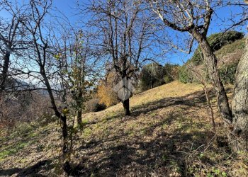 Casa semi indipendente Via S. Lorenzo di Casanova, Genova (zona Bolzaneto) - foto 31