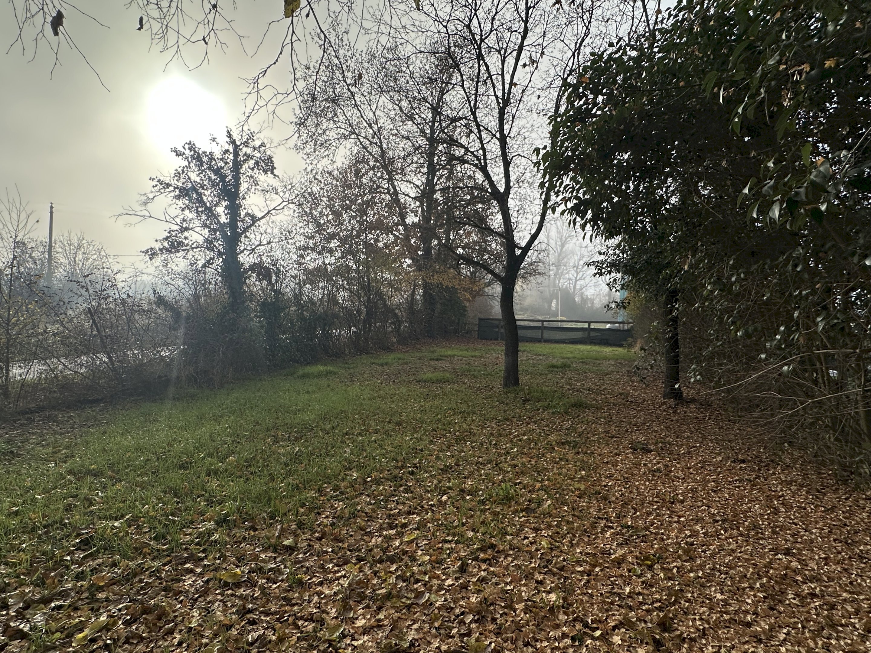 Giardino - Semi-detached house via Bergullo, 18, Imola - photo 3