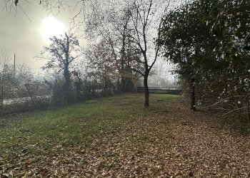 Giardino - Casa semi indipendente via Bergullo, 18, Imola - foto 3