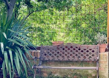 Rustic Via Casale, 7, Pianoro - photo 6