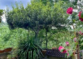 Rustic Via Casale, 7, Pianoro - photo 16