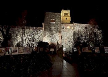 Trilocale Via Bianca della Valle, Rivalta di Torino - foto 21