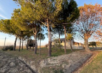 Rustico Via Camillo Torres, Ravenna (zona Castiglione di Ravenna) - foto 5