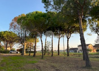 Rustico Via Camillo Torres, Ravenna (zona Castiglione di Ravenna) - foto 7