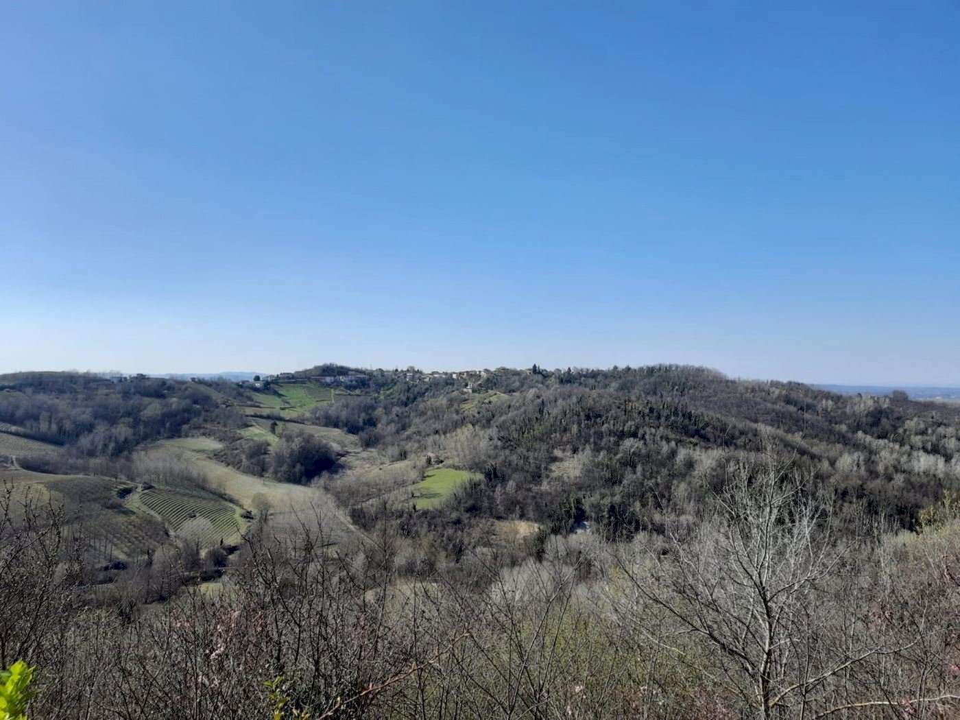 Cascina Montaldo Bormida, Montaldo Bormida - foto 2