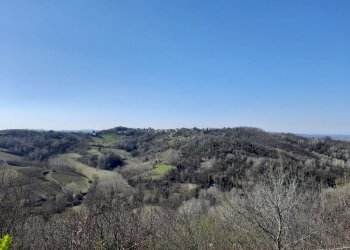Cascina Montaldo Bormida, Montaldo Bormida - foto 2