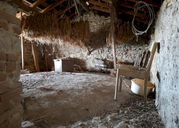 Cascina Montaldo Bormida, Montaldo Bormida - foto 17