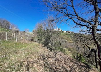 Cascina Montaldo Bormida, Montaldo Bormida - foto 18