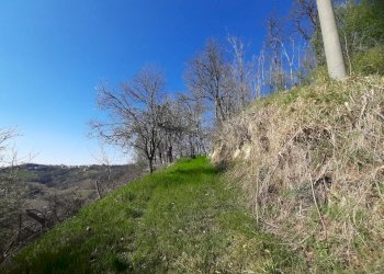 Cascina Montaldo Bormida, Montaldo Bormida - foto 19