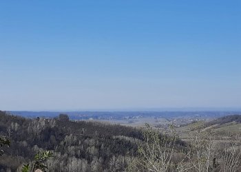 Cascina Montaldo Bormida, Montaldo Bormida - foto 20