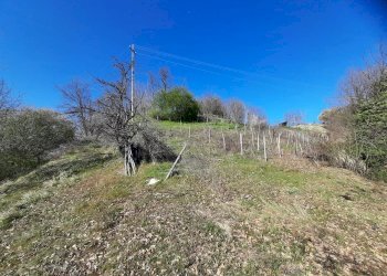 Cascina Montaldo Bormida, Montaldo Bormida - foto 21