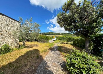 Foto 4 - Casa indipendente Altidona - foto 4