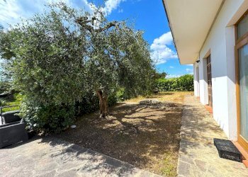 Foto 5 - Casa indipendente Altidona - foto 5