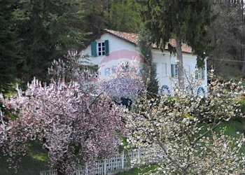 Giardino - Casa indipendente San Michele Mondovì - foto 1