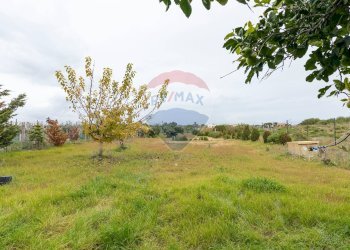 Giardino - Villa Via dei ciclamini
 
2, Ispica - photo 35