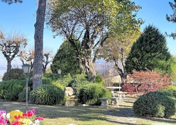 Foto 132 - Villa Cagli - photo 132