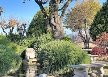 Foto 135 - Villa Cagli - photo 135