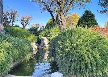 Foto 136 - Villa Cagli - photo 136