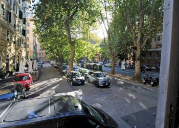 Apartment Genova (neighborhood Foce) - photo 5