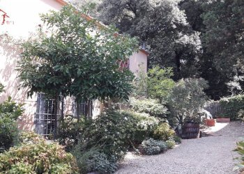 Foto 10 - Independent house via di Lappeggi
 
10, Bagno a Ripoli - photo 10