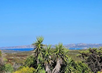 Foto 2 - Casa semi indipendente Località Saltara snc, Santa Teresa Gallura - foto 2