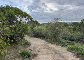 Foto 4 - Casa semi indipendente Località Saltara snc, Santa Teresa Gallura - foto 4