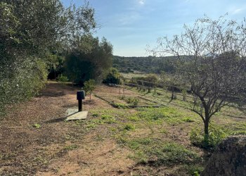 Foto 18 - Casa semi indipendente località
 
sn, Arzachena - foto 18