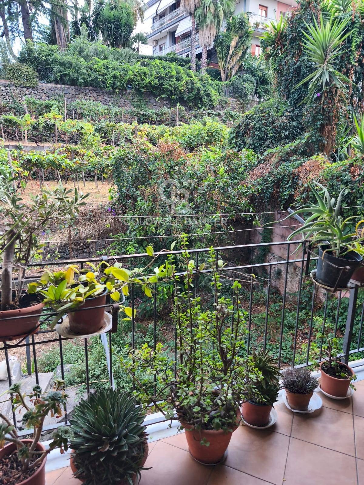 Foto 1 - Casa semi indipendente Via Camillo Benso Conte di Cavour
 
12, Santa Venerina - foto 1