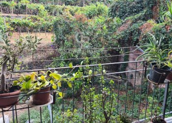 Foto 1 - Casa semi indipendente Via Camillo Benso Conte di Cavour
 
12, Santa Venerina - foto 1